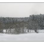 Winterliche Flußaulandschaft