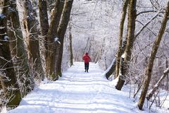 winterliche Fortbewegung