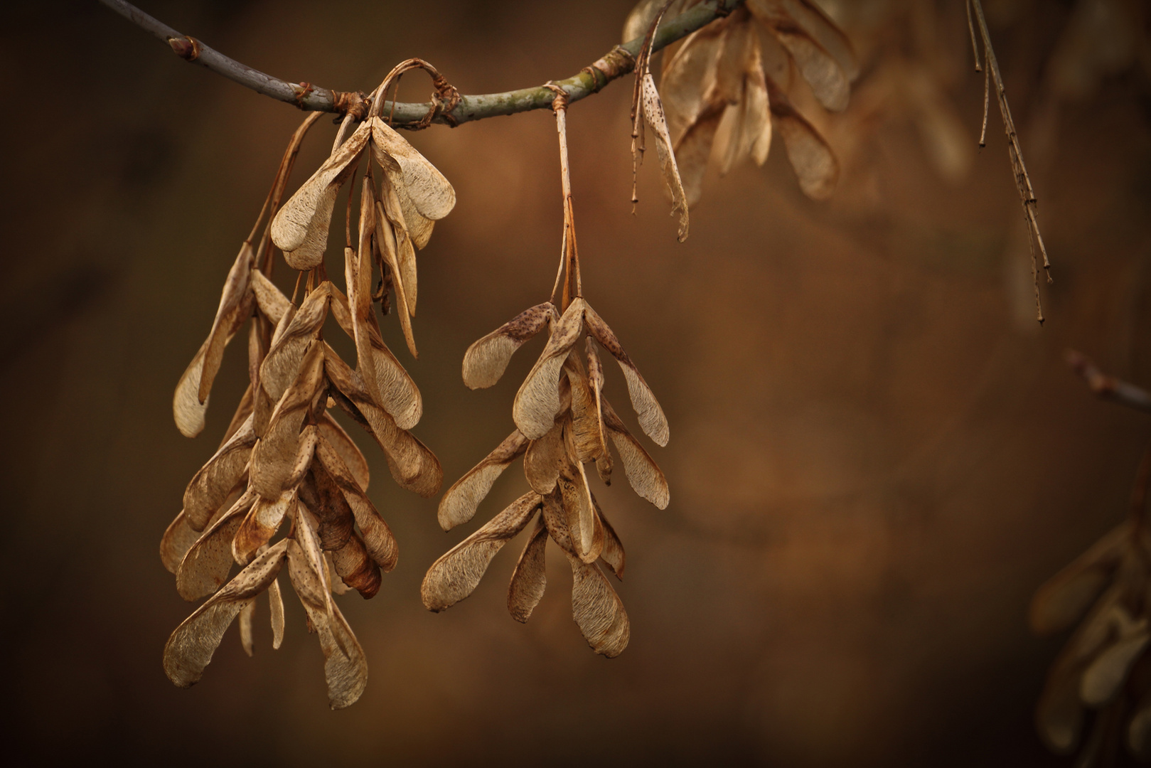 Winterliche Gedanken