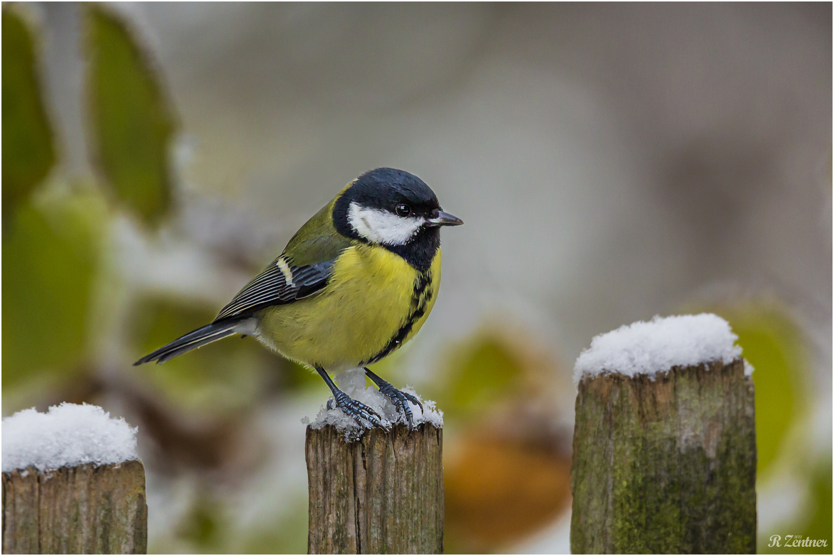 Winterliche Gegebenheiten 