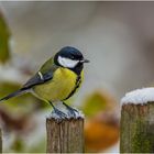 Winterliche Gegebenheiten 