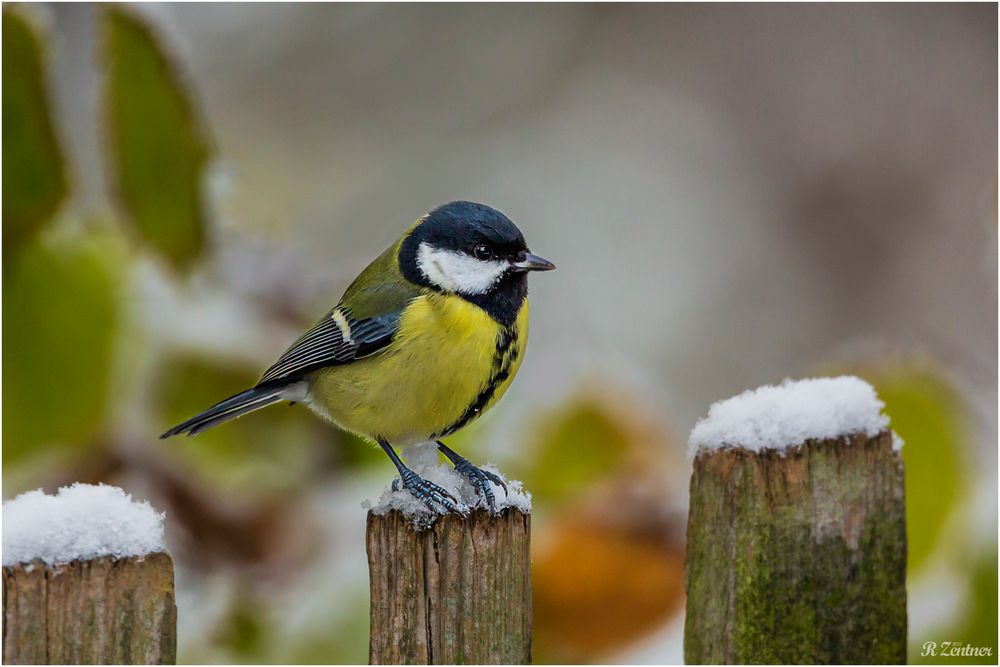 Winterliche Gegebenheiten 