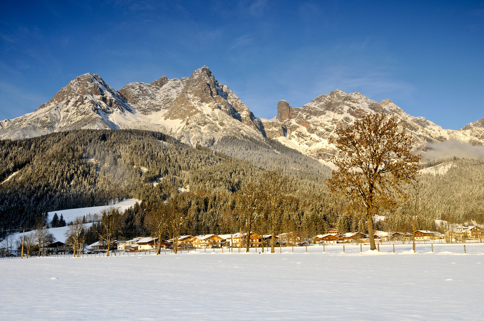 winterliche Gelassenheit 3