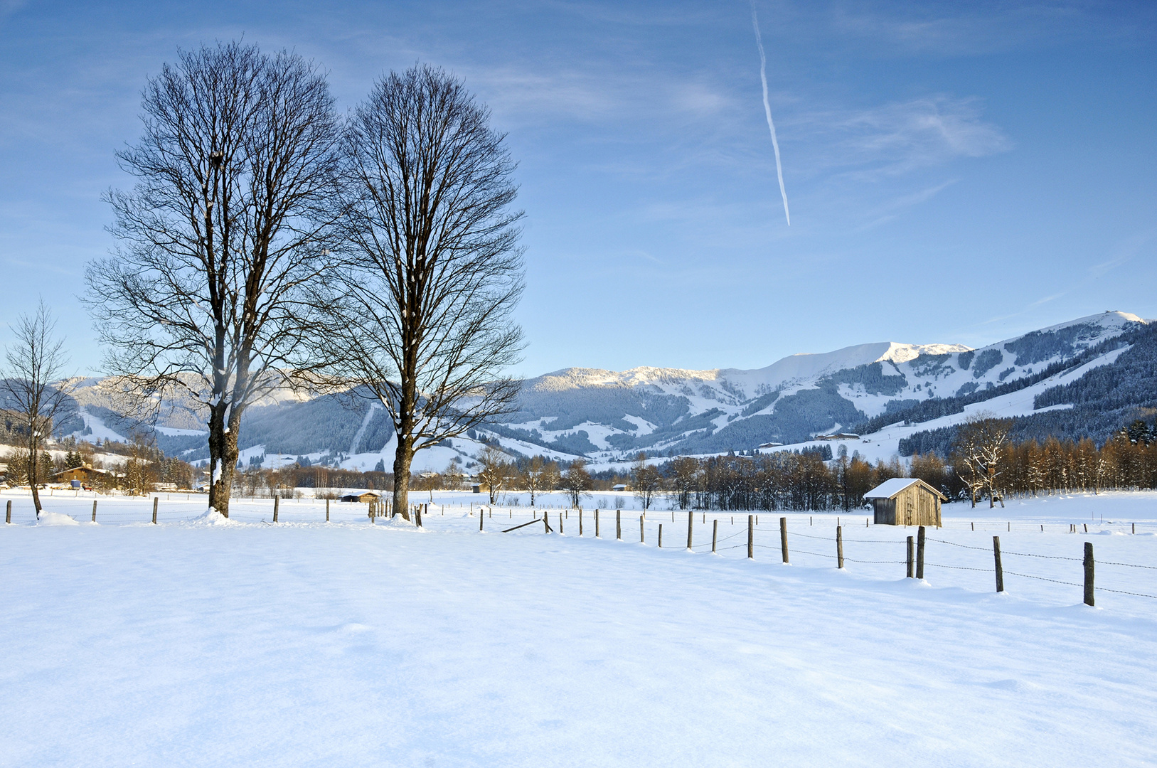 Winterliche Gelassenheit 4