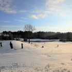 Winterliche Golflandschaft