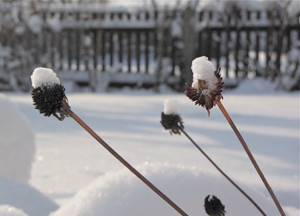 winterliche Grüsse