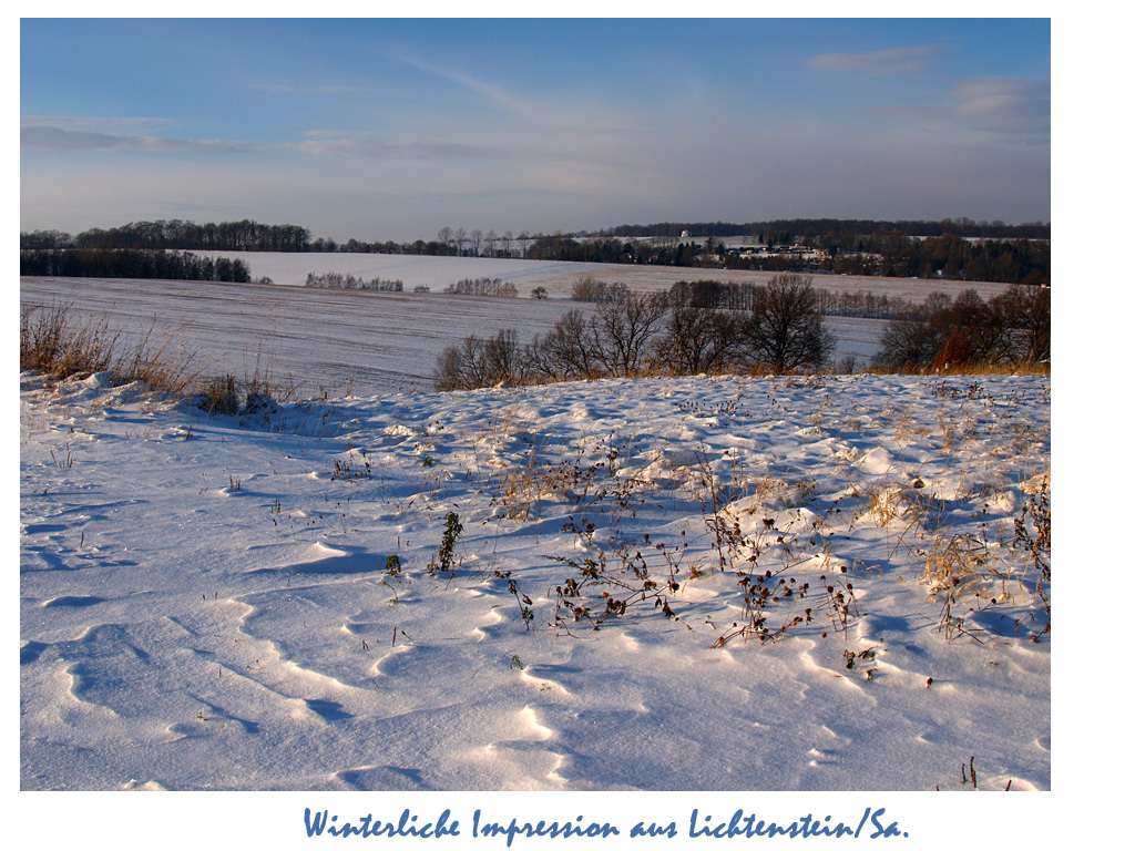 Winterliche Grüße...(3)