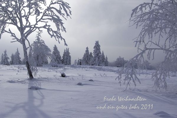 Winterliche Grußkarte