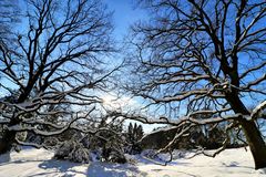 winterliche Heidelandschaft