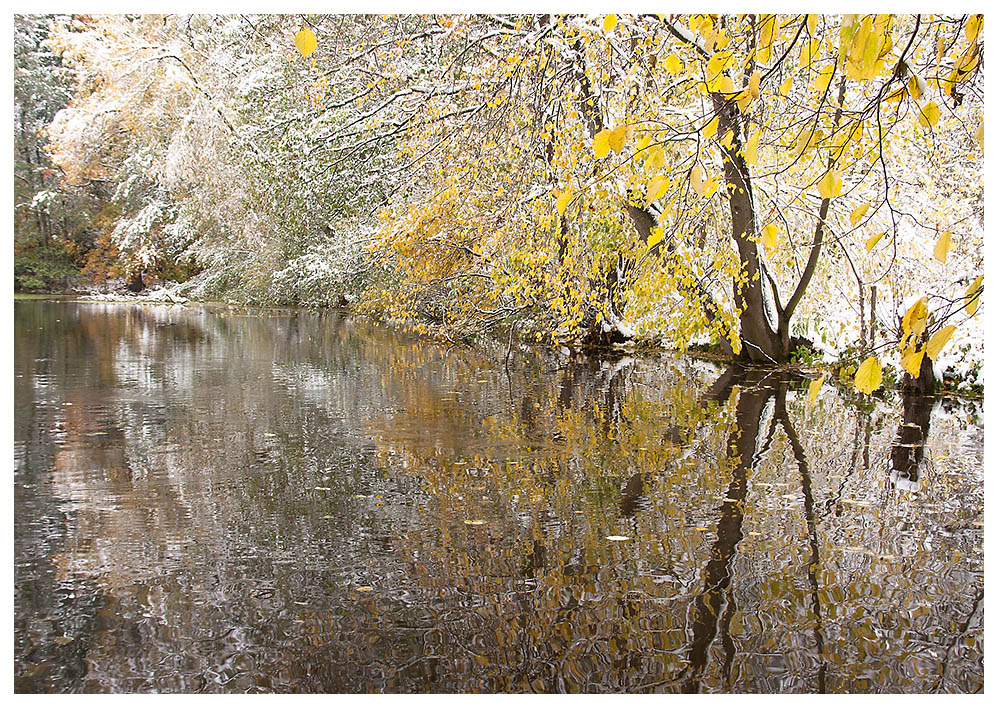 winterliche Herbstimpressionen