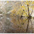 winterliche Herbstimpressionen