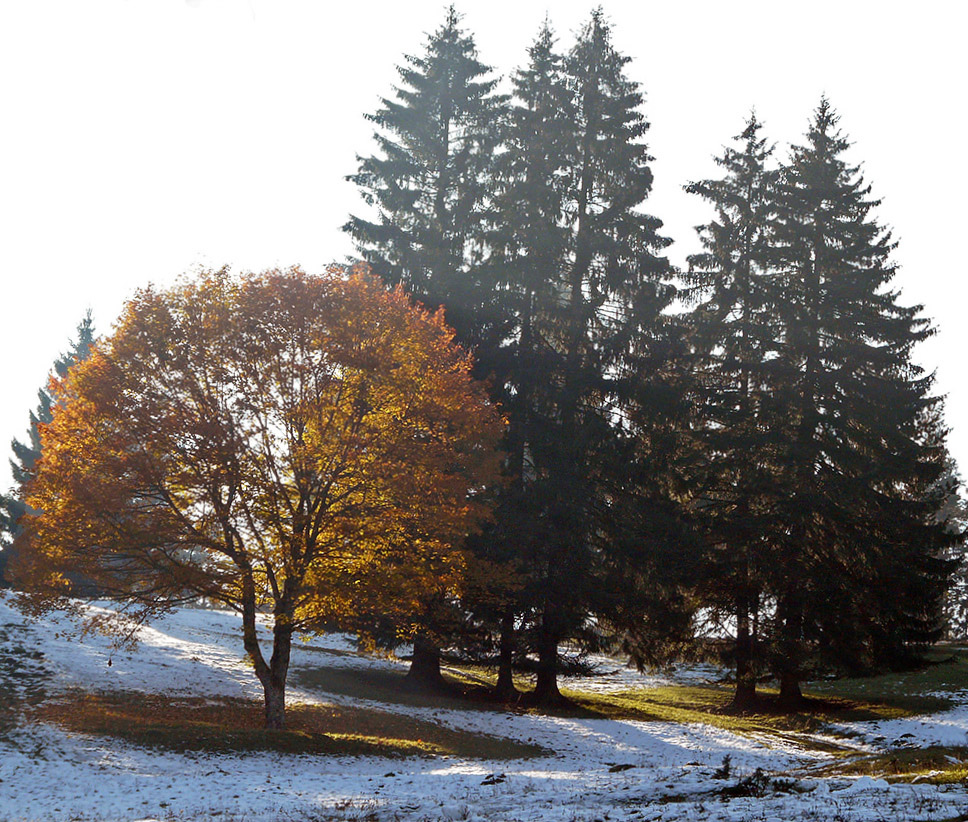 Winterliche Herbststimmung