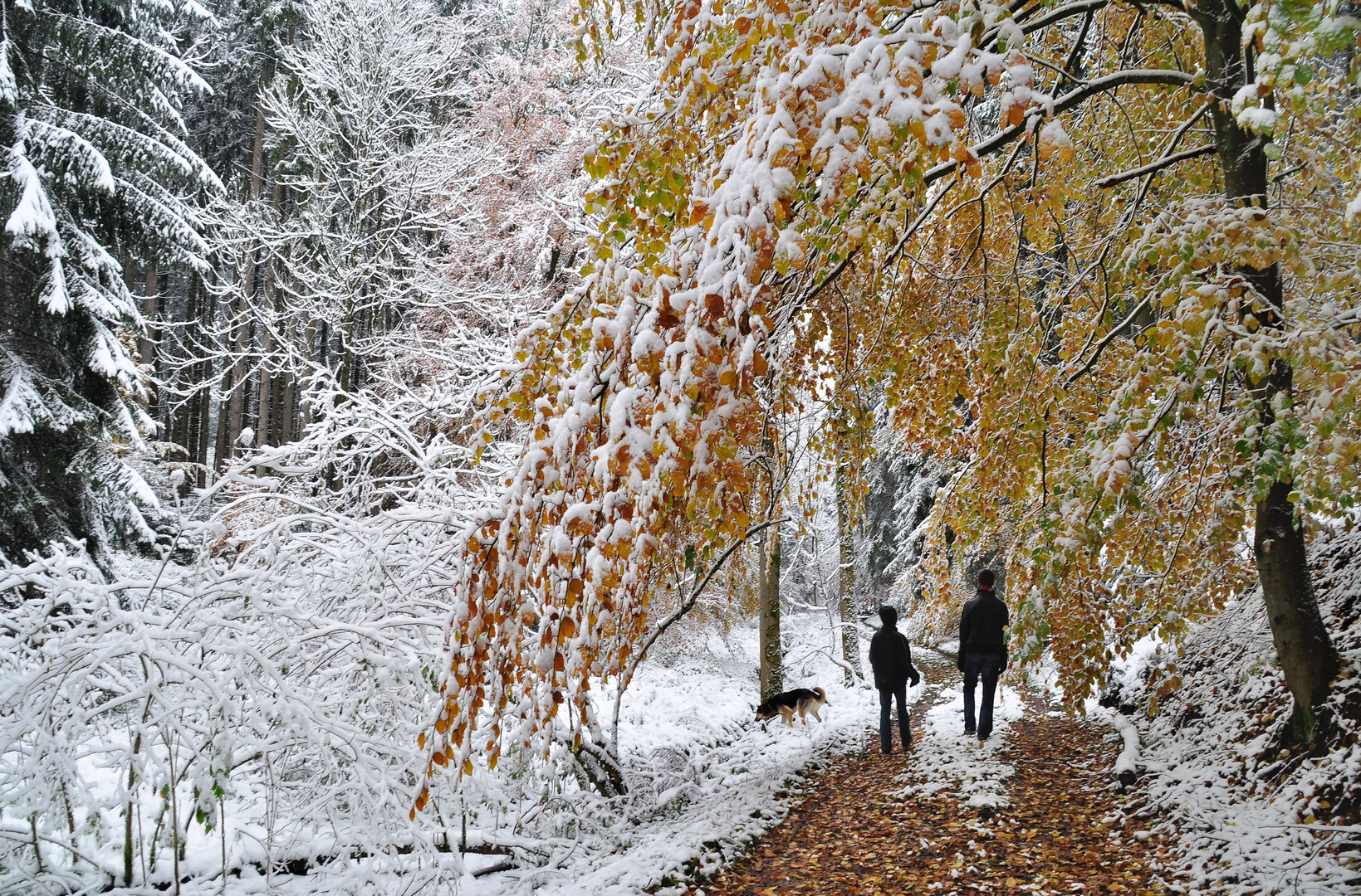 Winterliche Herbstwanderung