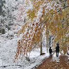 Winterliche Herbstwanderung