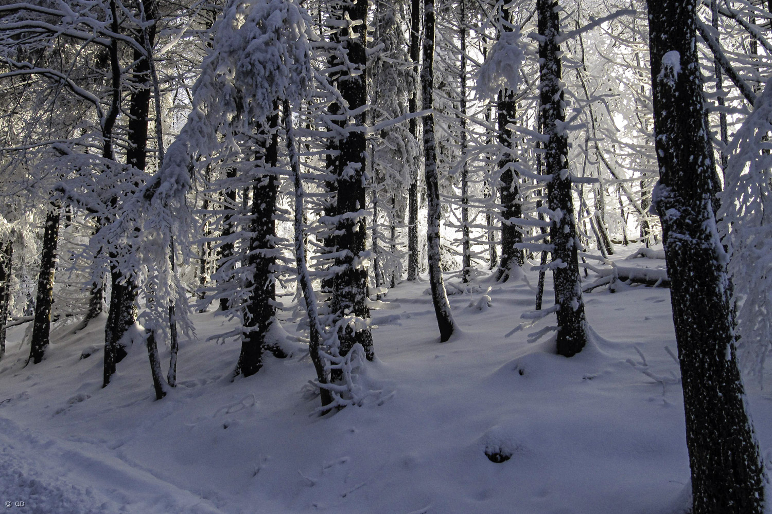 Winterliche Höhenlagen