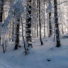 Winterliche Höhenlagen