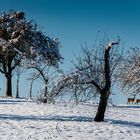 Winterliche Idylle