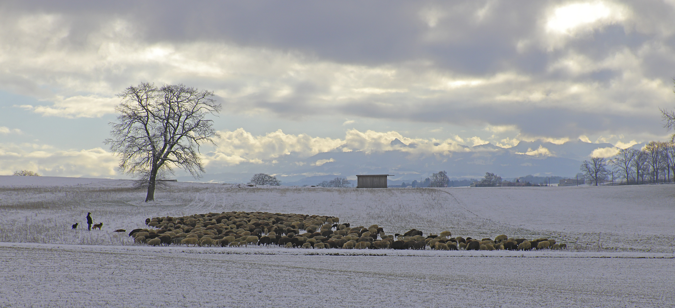 Winterliche Idylle