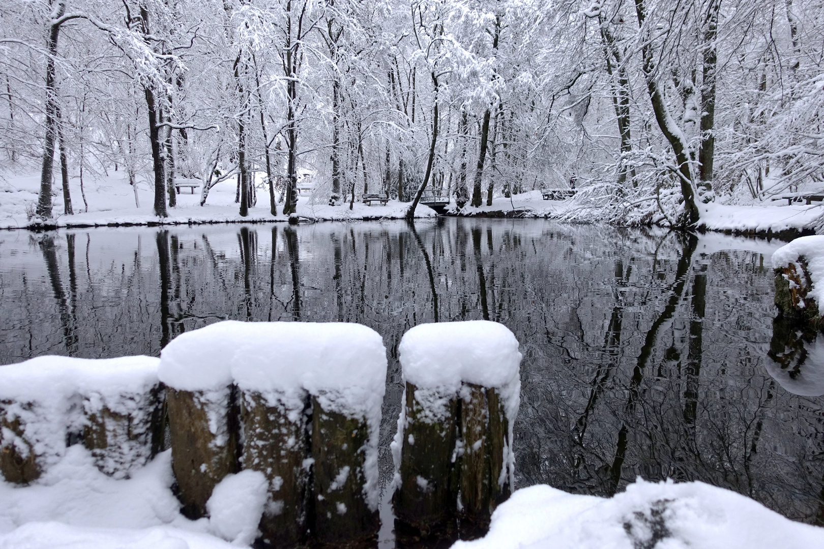 Winterliche Idylle am Forellenweiher