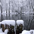 Winterliche Idylle am Forellenweiher