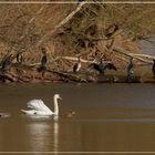 Winterliche Idylle am See