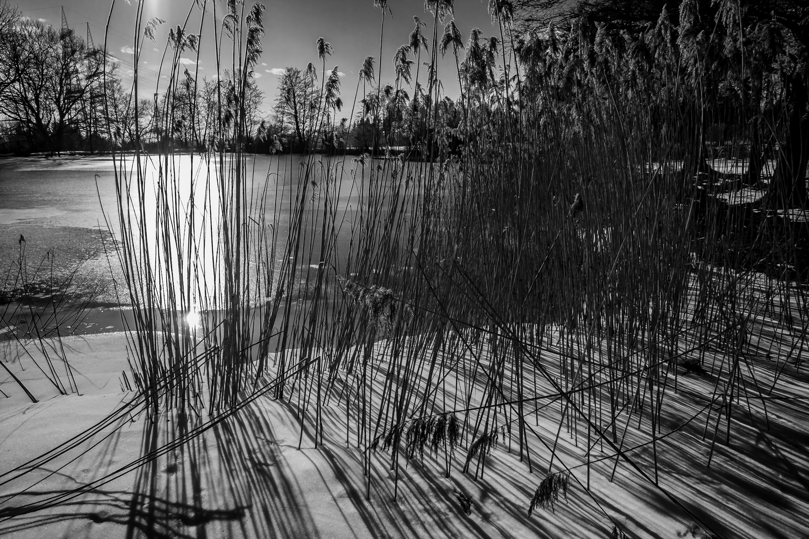 Winterliche Idylle an einem Weier