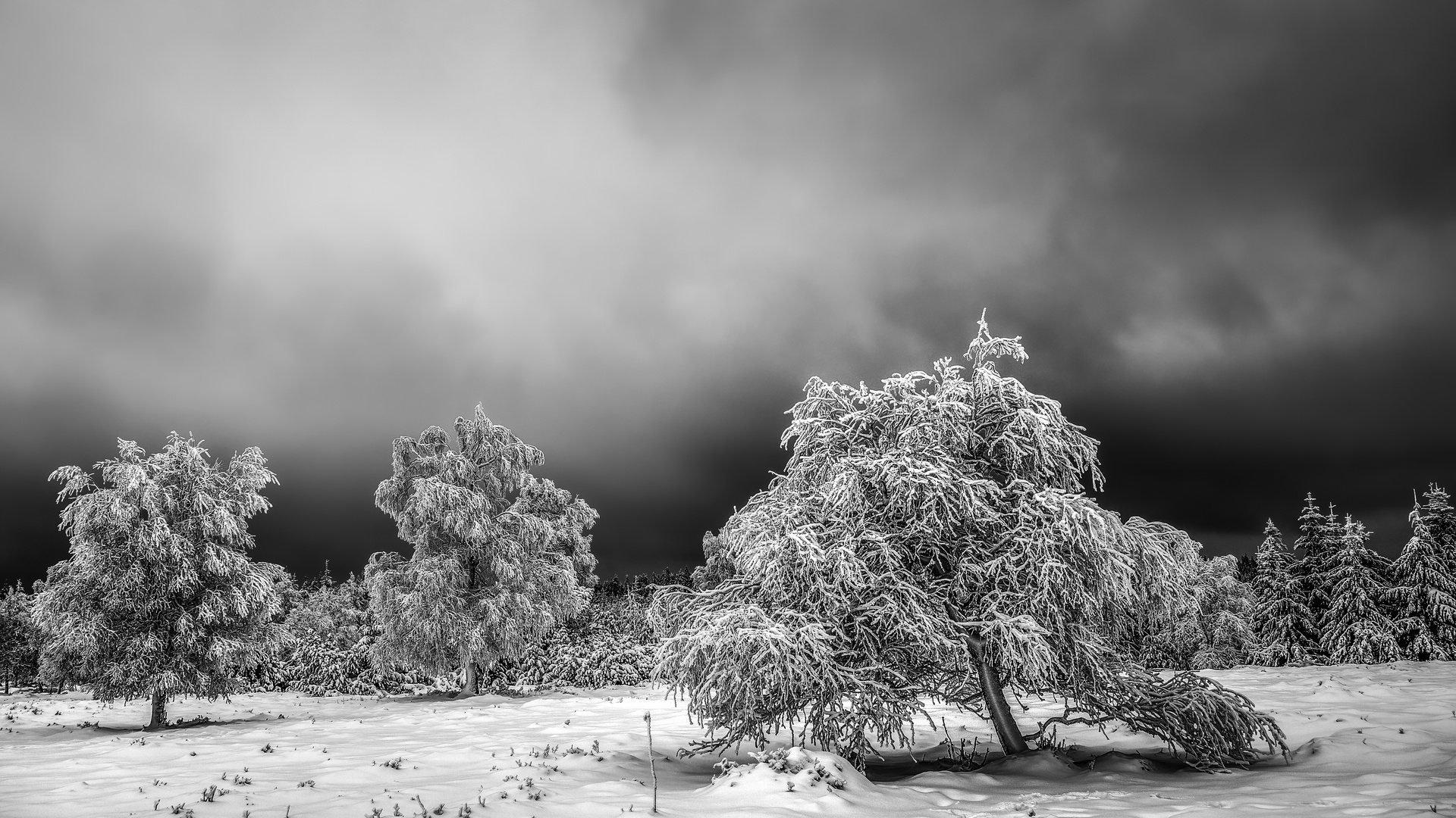 Winterliche Impression Foto & Bild deutschland, europe, baden
