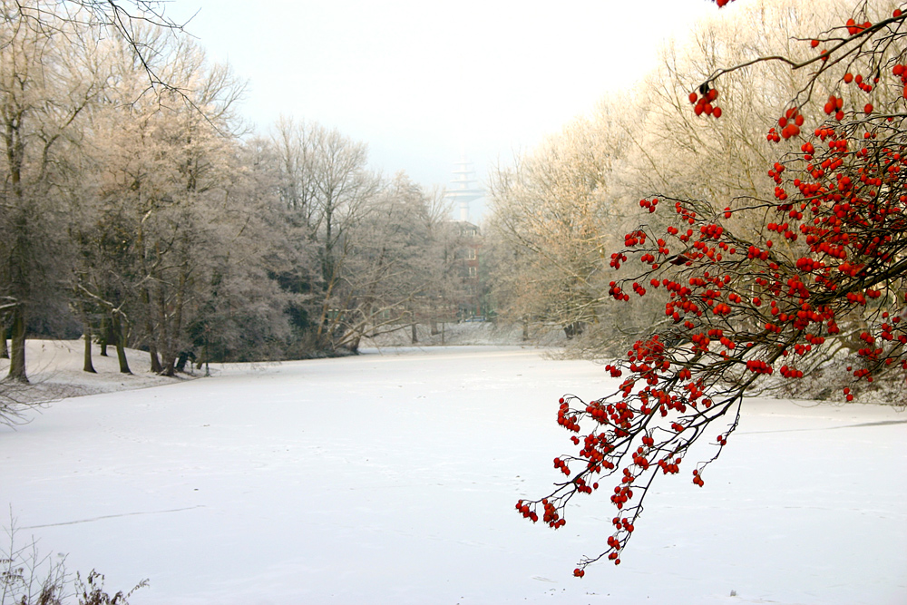 winterliche Impressionen 3