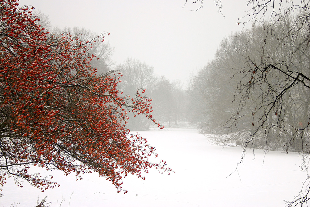 winterliche Impressionen 4