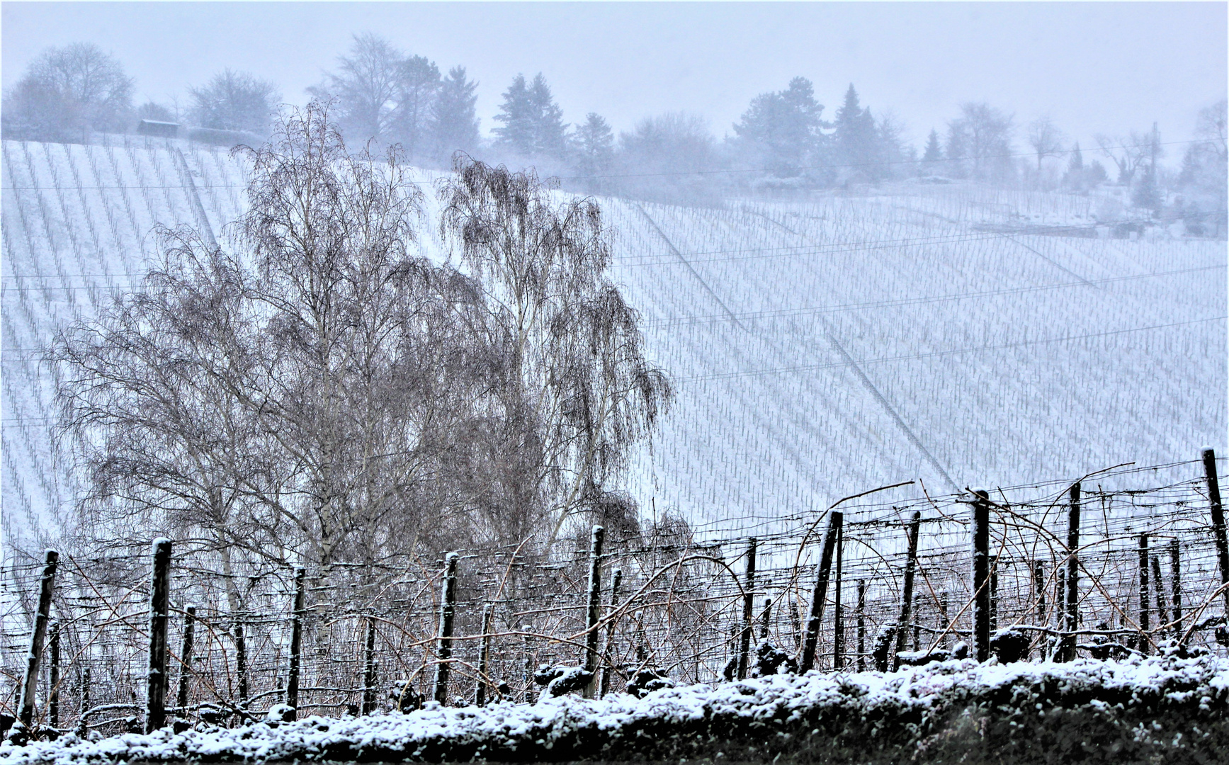 Winterliche Impressionen 