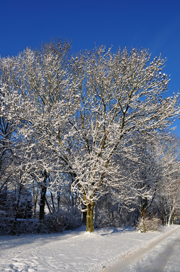 Winterliche Impressionen