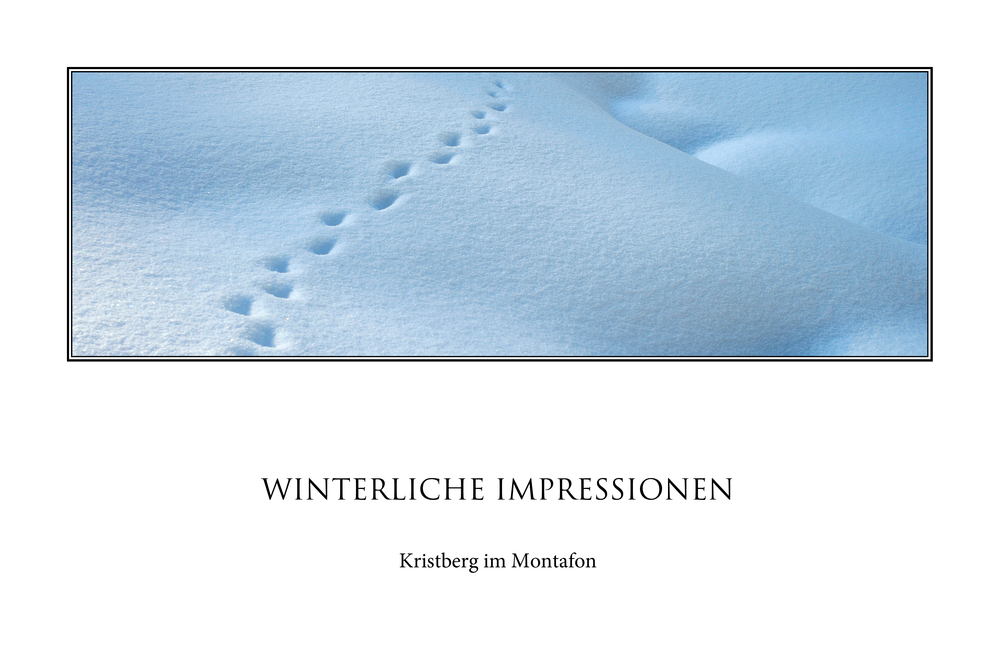 Winterliche Impressionen (7)