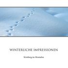 Winterliche Impressionen (7)