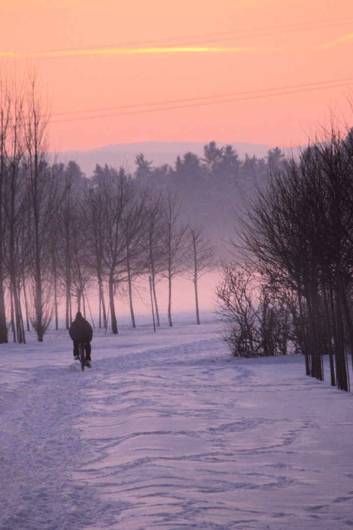 Winterliche Impressionen