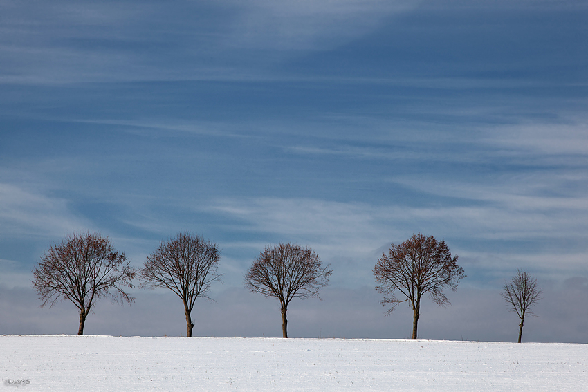 Winterliche Impressionen