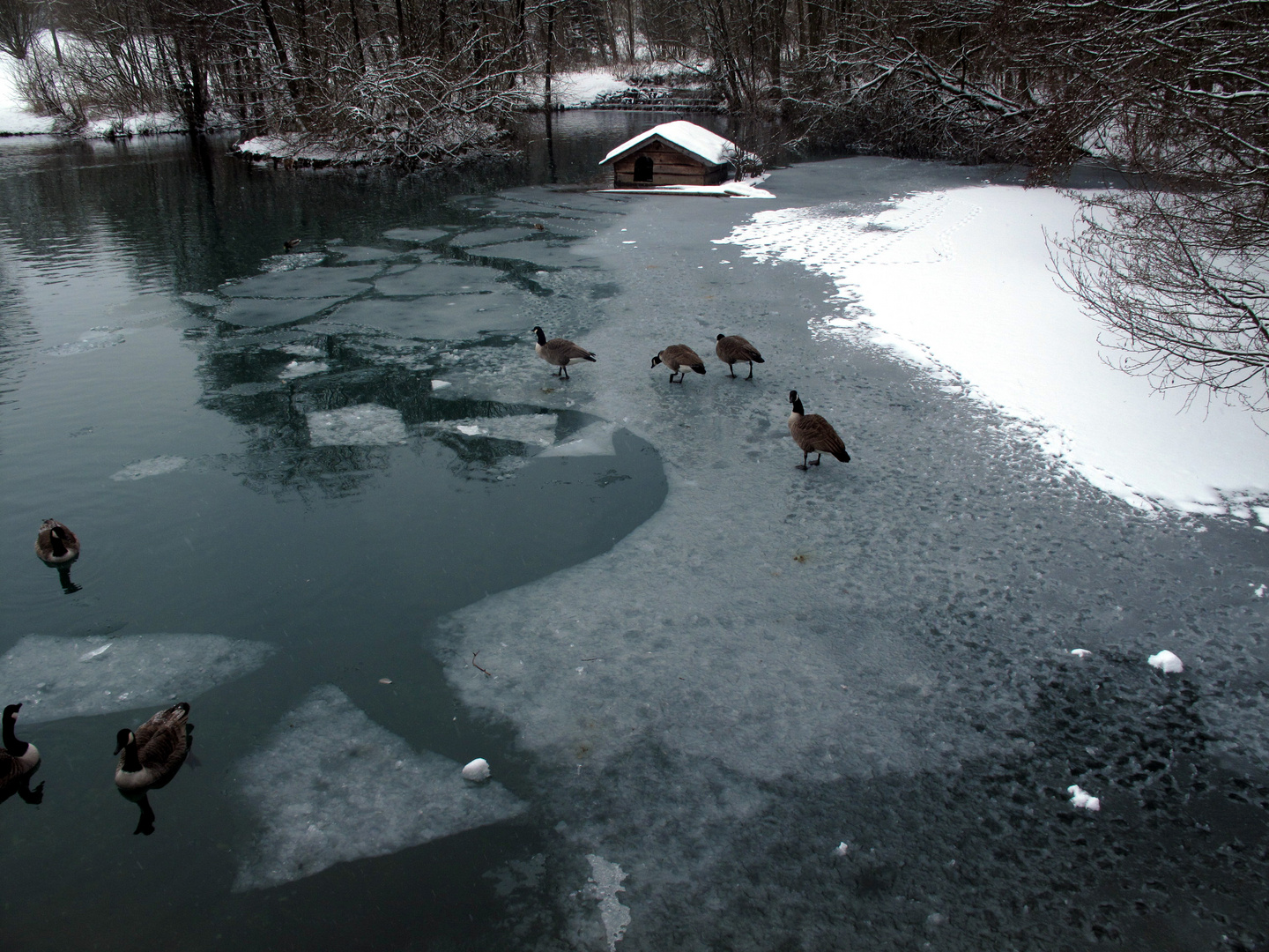 Winterliche Impressionen