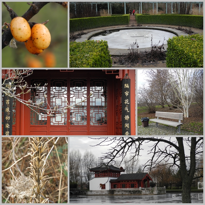 Winterliche Impressionen aus dem Marzahner Garten