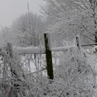 Winterliche Impressionen aus den Baumbergen