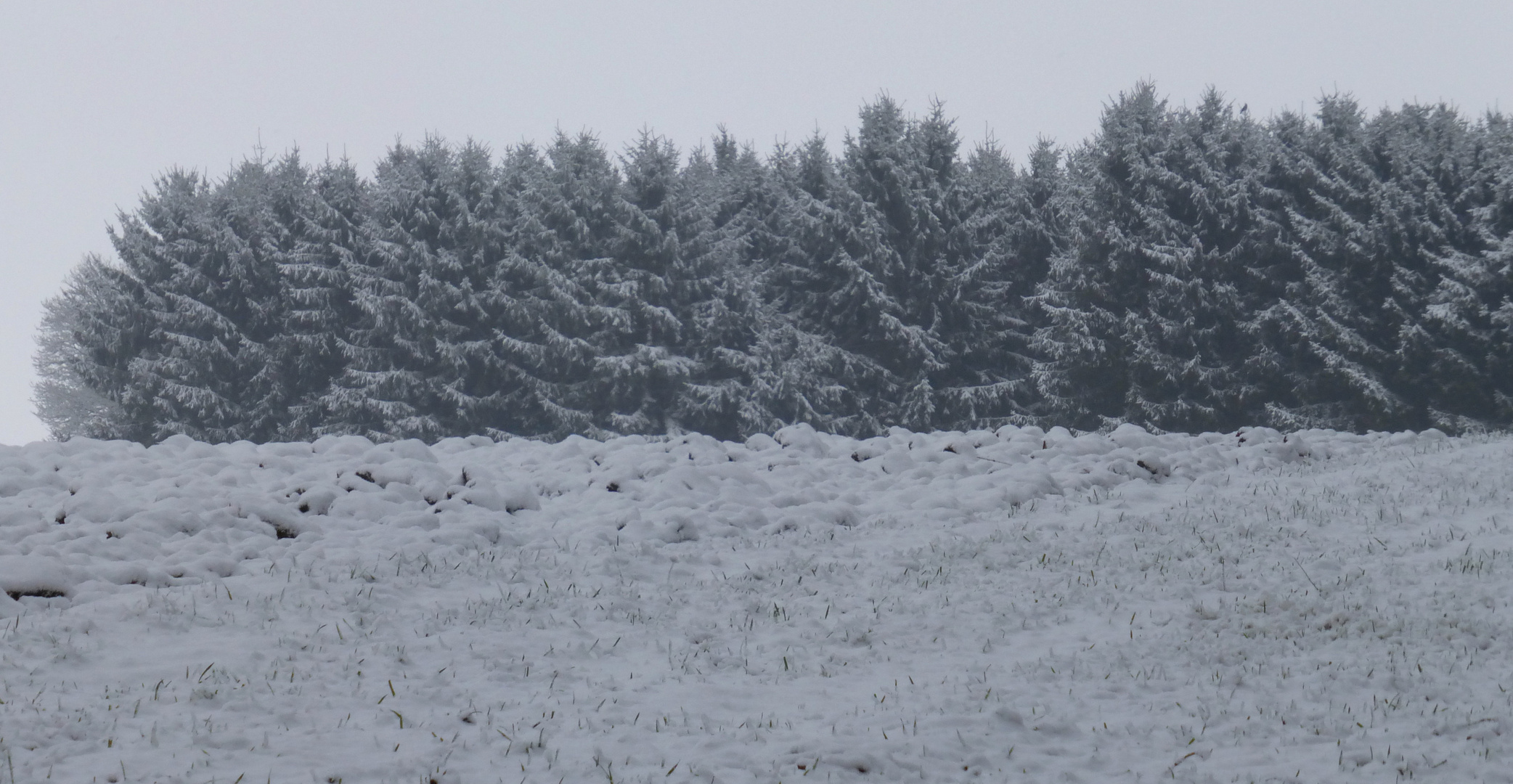 Winterliche Impressionen aus den Baumbergen II