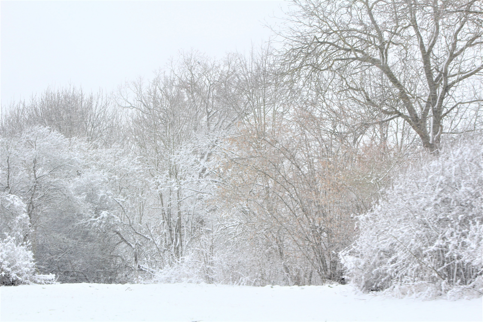 Winterliche Impressionen 