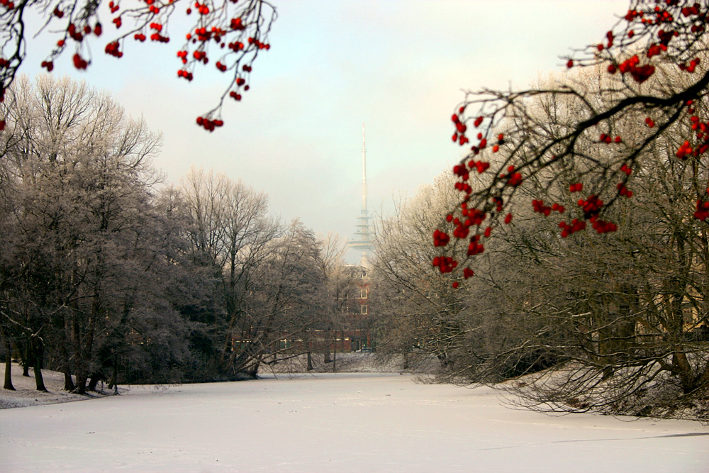 winterliche Impressionen