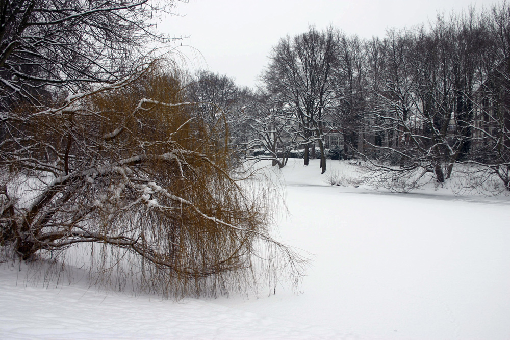 winterliche Impressionen