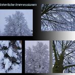 Winterliche Impressionen