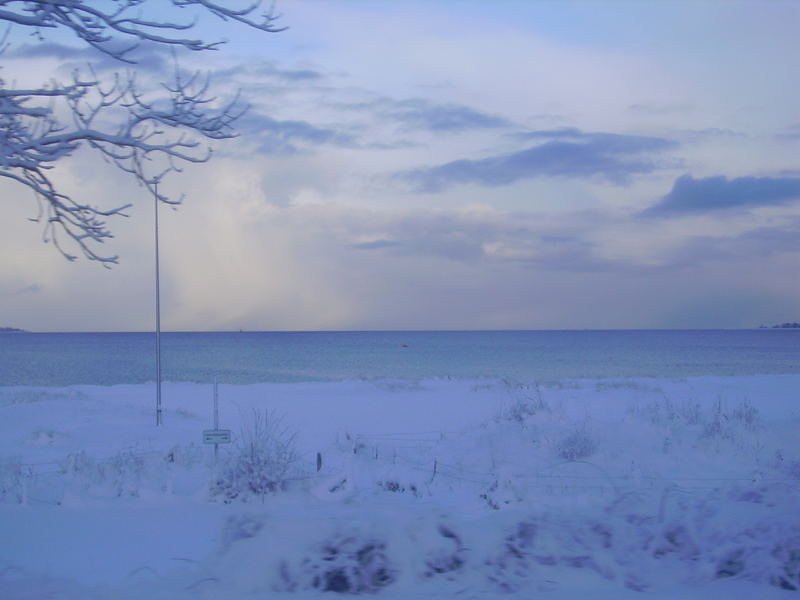 Winterliche Impressionen der Eckernförder Bucht