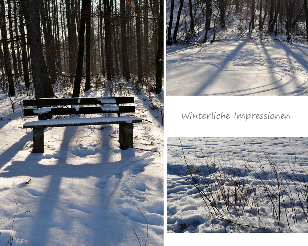 Winterliche Impressionen