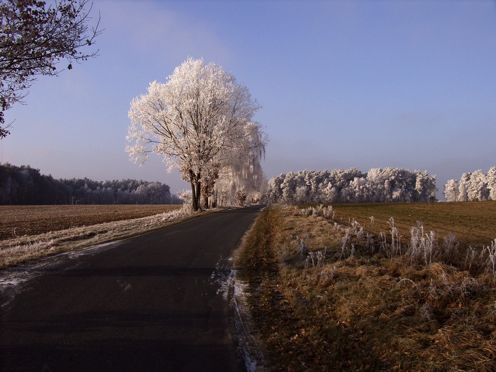 Winterliche Impressionen in Niedersachsen bei Lüneburg