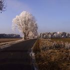 Winterliche Impressionen in Niedersachsen bei Lüneburg