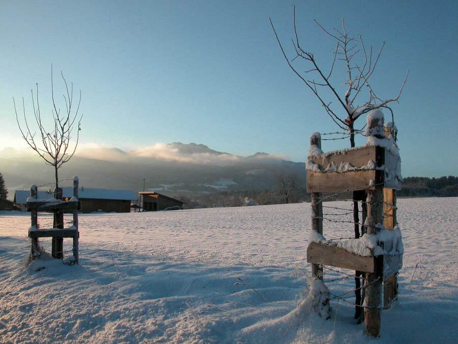 Winterliche Kampenwand (1669m)