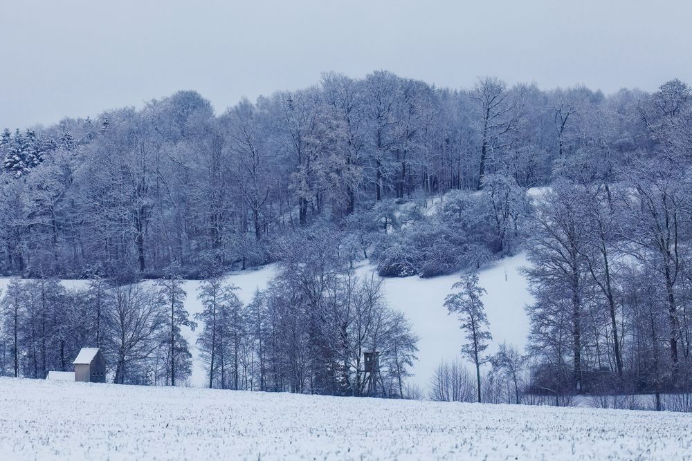 Winterliche Kontraste