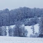 Winterliche Kontraste